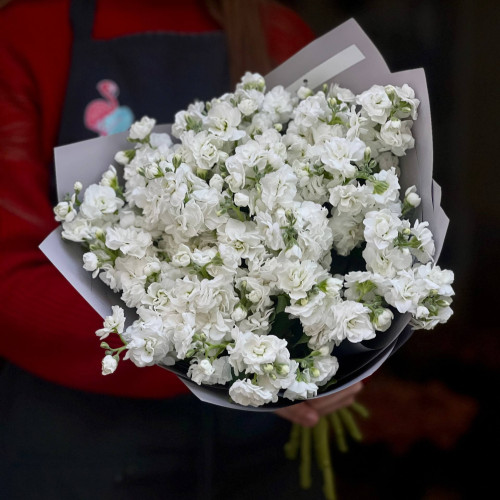 11 веток кустовой маттиолы в букете «Душистый морозец»