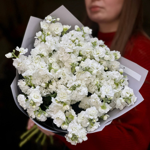 11 веток кустовой маттиолы в букете «Душистый морозец»