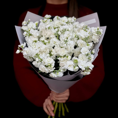 11 веток кустовой маттиолы в букете «Душистый морозец»