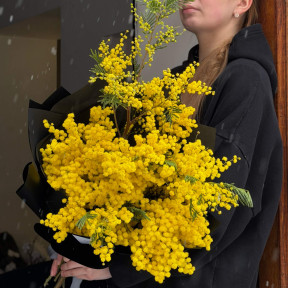 5 гілок ароматної італійської мімози у букеті «Південне сонце»