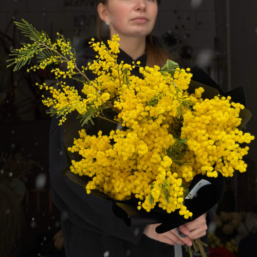 5 гілок ароматної італійської мімози у букеті «Південне сонце»