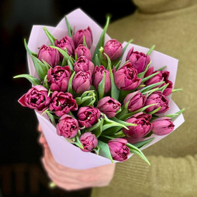 23 розкішні сливові півонієподібні тюльпани у букеті «Весняні сутінки»
