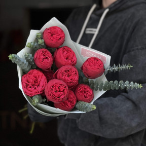 11 піоновидних троянд Red Mary у поєднанні з евкаліптом у букеті «Мелодійний червоний»