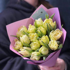 15 півонієвидних тюльпанів Avant Garde у букеті «Лаймові льодяники»