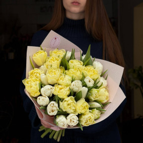 Мікс із 33 піоновидних тюльпанів «Крихка краса»