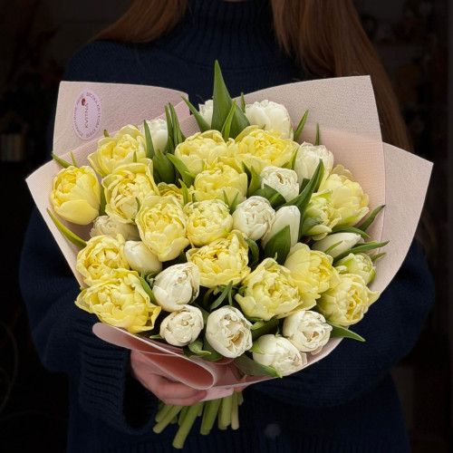 Мікс із 33 піоновидних тюльпанів «Крихка краса»