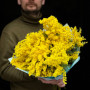 11 гілок розкішної пухкої мімози у букеті «Весна на Рів'єрі»