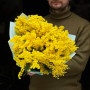 11 гілок розкішної пухкої мімози у букеті «Весна на Рів'єрі»