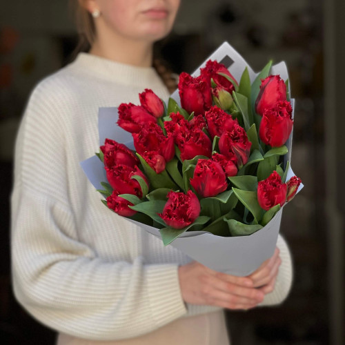 15 бахромчатых тюльпанов Red Wing в букете «Пламенное перо»