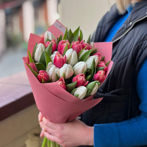 Мікс із 25 тюльпанів «Цукрова квіточка»