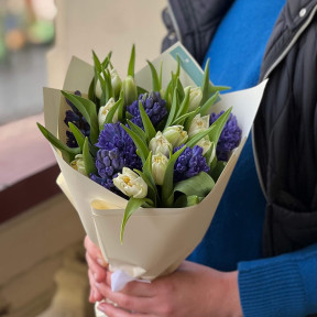 Запашний букет з гіацинтами та тюльпанами «Синьоока красуня»