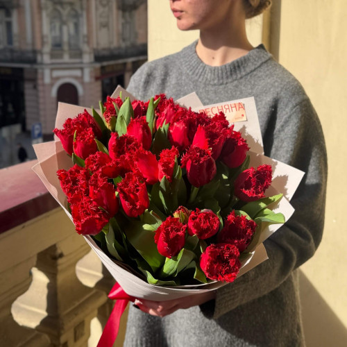 25 бахромчастих тюльпанів у букеті «Червоний промінь»
