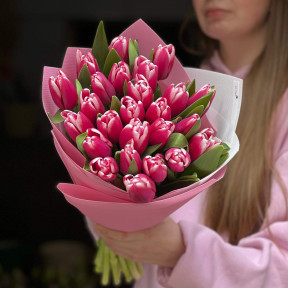 25 хрумких двоколірних тюльпанів Liverpool у букеті «Малиновий крюшон»