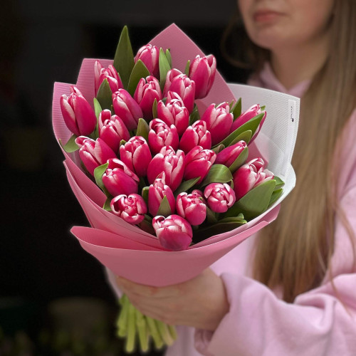 25 хрумких двоколірних тюльпанів Liverpool у букеті «Малиновий крюшон»