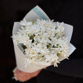 15 кущових нарцисів сорту Ziva у букеті «Цукрова вата»