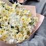 Микс из 25 нарциссов сортов Ziva и Avalanche в букете «Сладкие звёздочки»