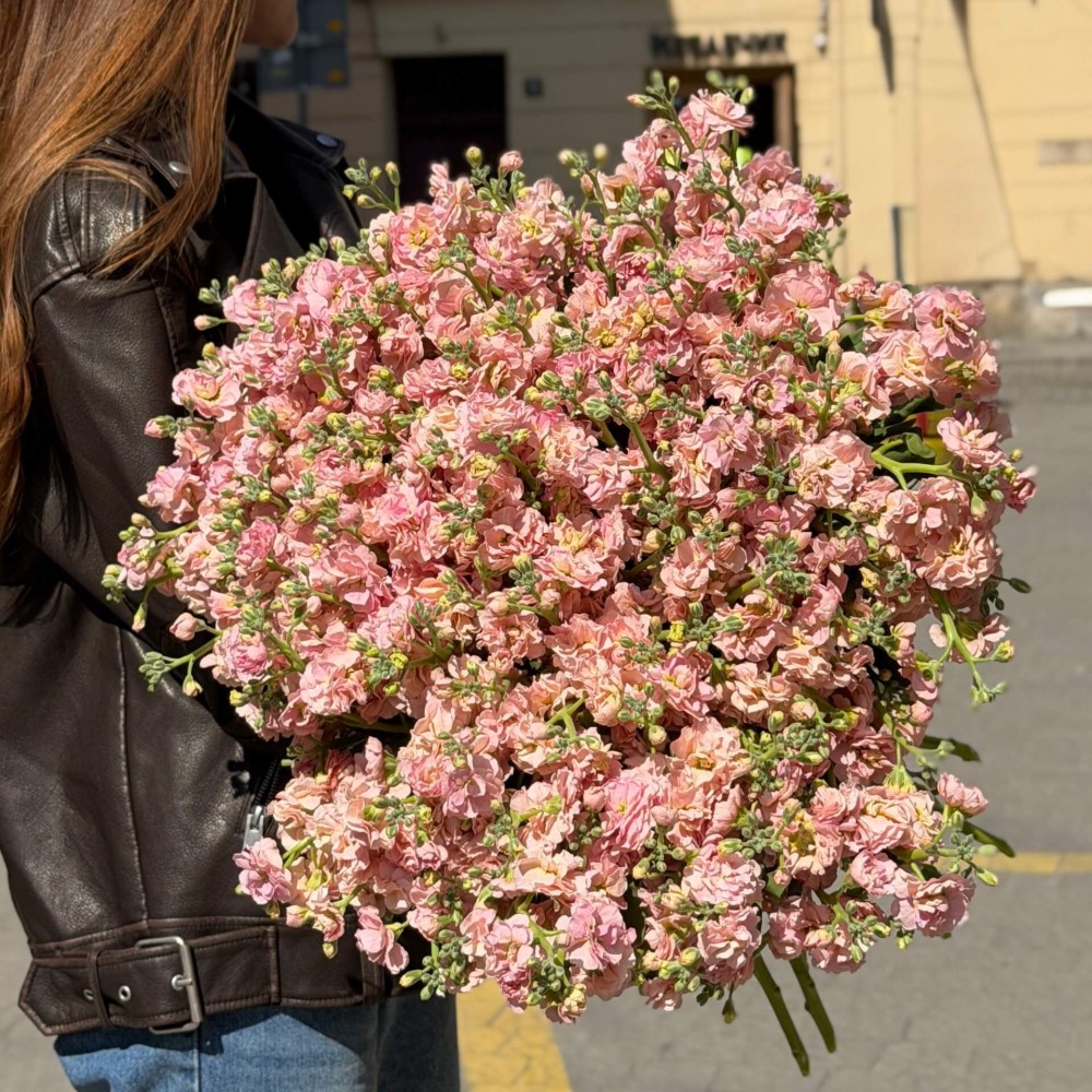Apricot Peach Spray Matthiola price 2 475 грн delivery to Lviv - Kvitna