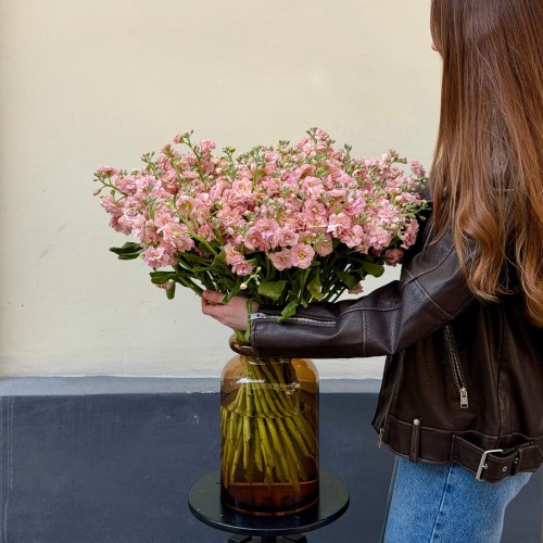 Apricot Peach Spray Matthiola price 2 475 грн delivery to Lviv - Kvitna