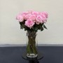 Півонієвидна троянда сорту Pink O'Hara