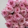 Півонієвидна троянда сорту Pink O'Hara