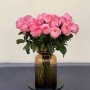 Pink peony rose of the Pink X-Pression variety