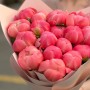 15 пионов сорта Coral Charm в букете «Ожерелье Нефертити»