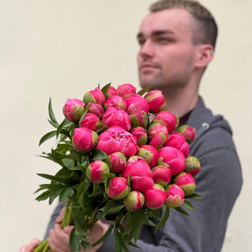 Півонія сорту Coral Charm