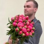 Півонія сорту Coral Charm
