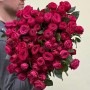 Троянда кущова півонієвидна Dima Bombastic