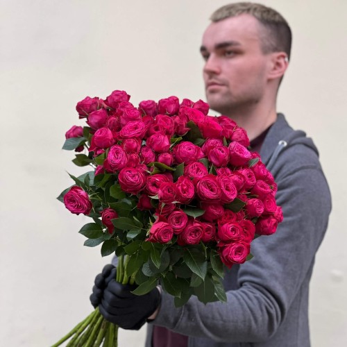 Троянда кущова півонієвидна Dima Bombastic