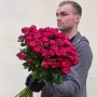 Троянда кущова півонієвидна Dima Bombastic