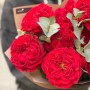 9 пионовидных роз сорта Red Eye с эвкалиптом в букете «Кружевные мысли»