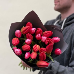Микс из 23 классических тюльпанов сортов Red Chief и Supermodel в букете «Магнетически яркий»