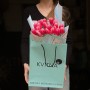 21 класичний тюльпан сорту Supermodel у букеті «Гламурний рожевий»