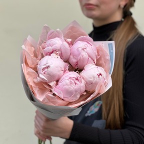 5 ніжних півоній сорту Reine Hortense у букеті «Зефірна краса»