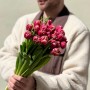 Тюльпан півонієвидний Columbus