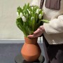 Тюльпан классический Kobla