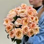 Melon X-Pression Peony Rose