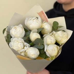 9 півоній сорту Bridal Shower у букеті «Вершкові обійми»