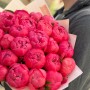 25 півоній сорту Coral Charm у букеті «Травневий шарм»