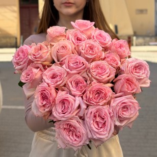Півонієвидна троянда Pink O’Hara