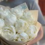 9 розкішних півоній сорту Bridal Shower у букеті «Посмішка королеви»