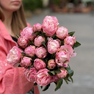 Пион Gardenia