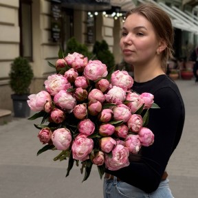 Півонія Gardenia
