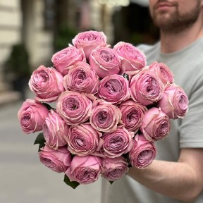 Півонієвидна троянда Peony Kiss
