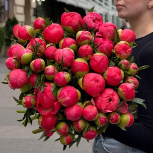 Півонія Coral Charm