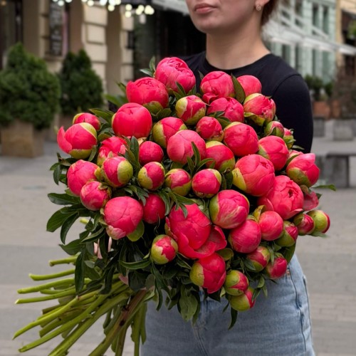 Півонія Coral Charm