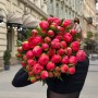 Півонія Coral Charm