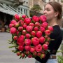 Півонія Coral Charm