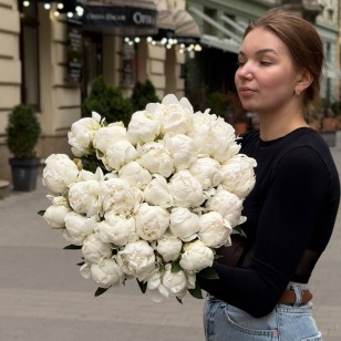 Півонія Madame Claude Tain